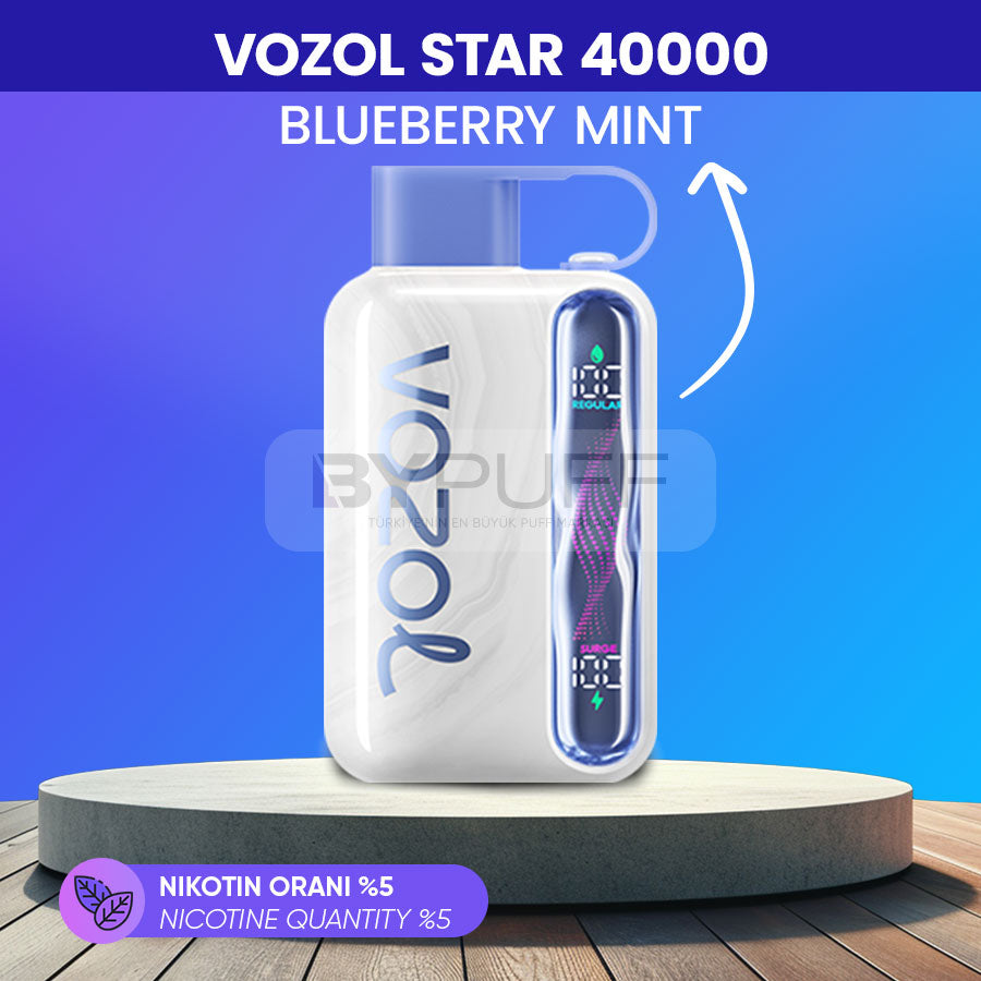 Vozol Star 40000 - Blueberry Mint